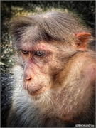 IMG20250215145647 (Copy)